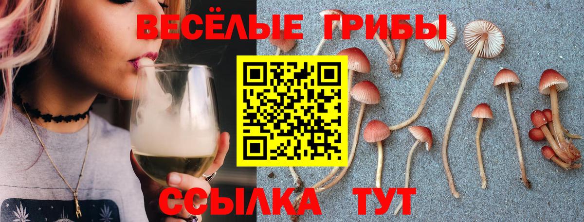 Галлюциногенные грибы Magic Shrooms  Вход с VPN  Галлюциногенные грибы мицелий  магазин    Мирный 