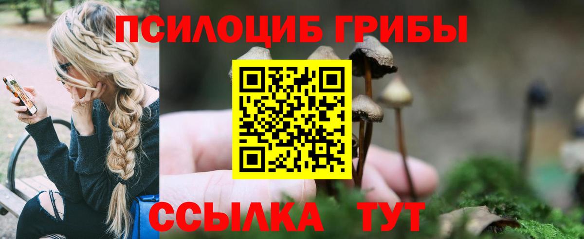 Галлюциногенные грибы Psilocybine cubensis Мирный